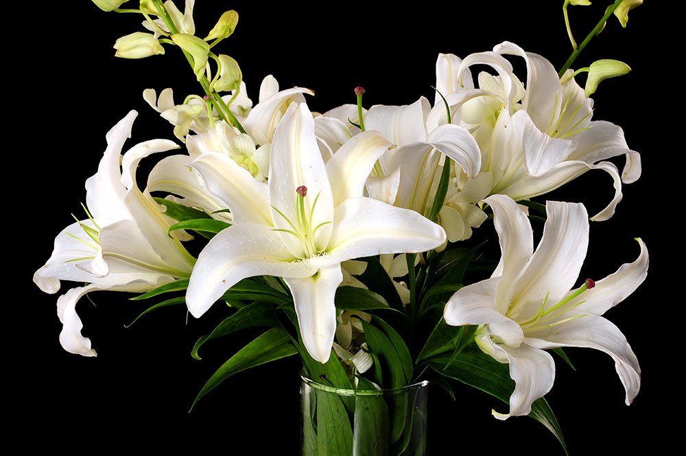 Sending Flowers to the Bereaved