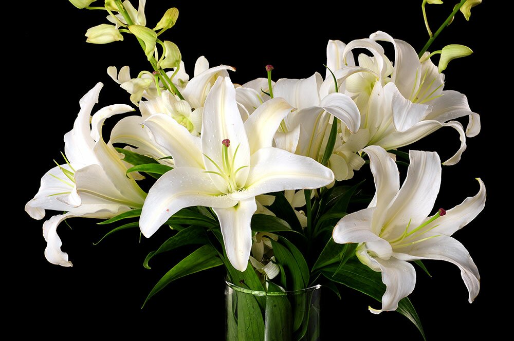 Tips For Choosing The Right Type Of Flowers For A Funeral